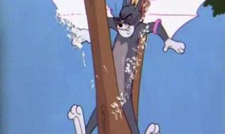 整人专家小游戏 整人专家小游戏